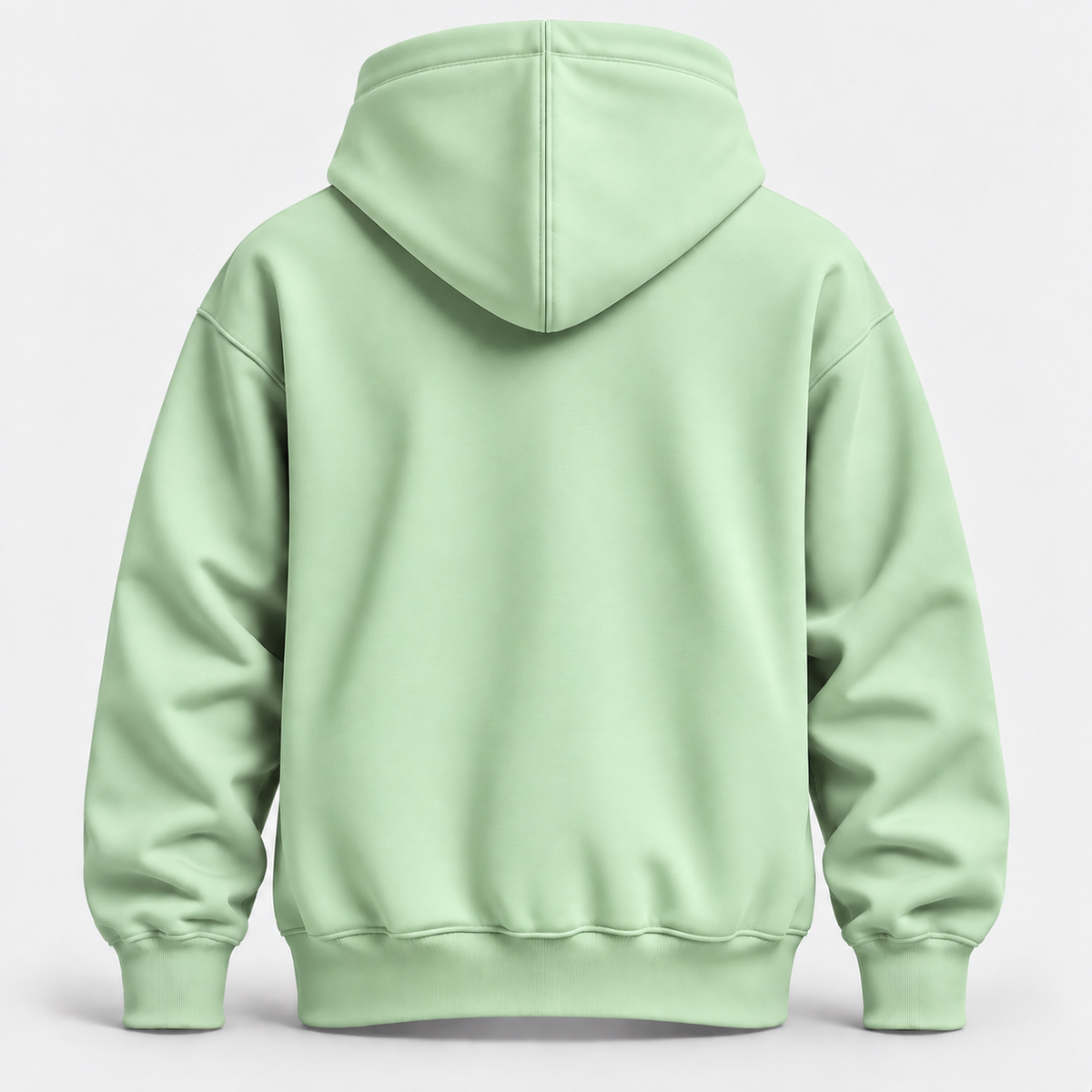 Mint Color Warm 300 GSM Regular Plain Hoodies