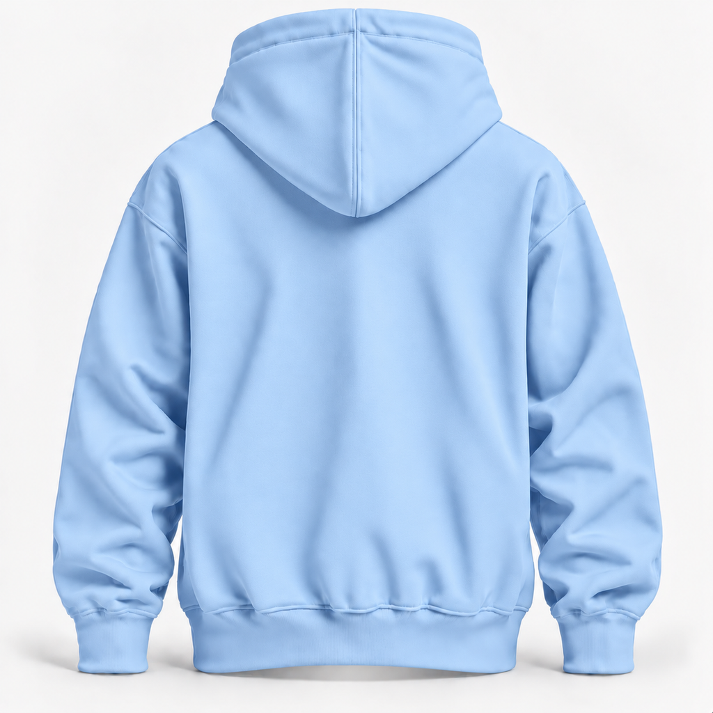 Baby Blue Warm 300 GSM Regular Plain Hoodies