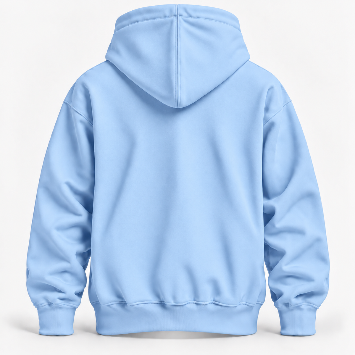 Baby Blue Warm 300 GSM Regular Plain Hoodies